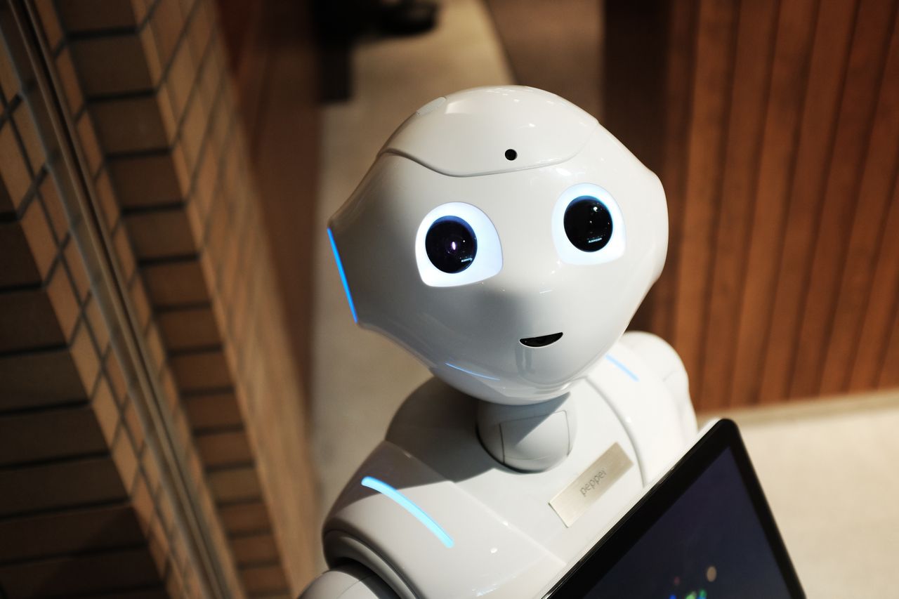 Humanoid service robot